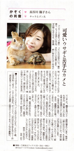 本日朝日新聞の夕刊「be evening」にウサギとカメと・・・。